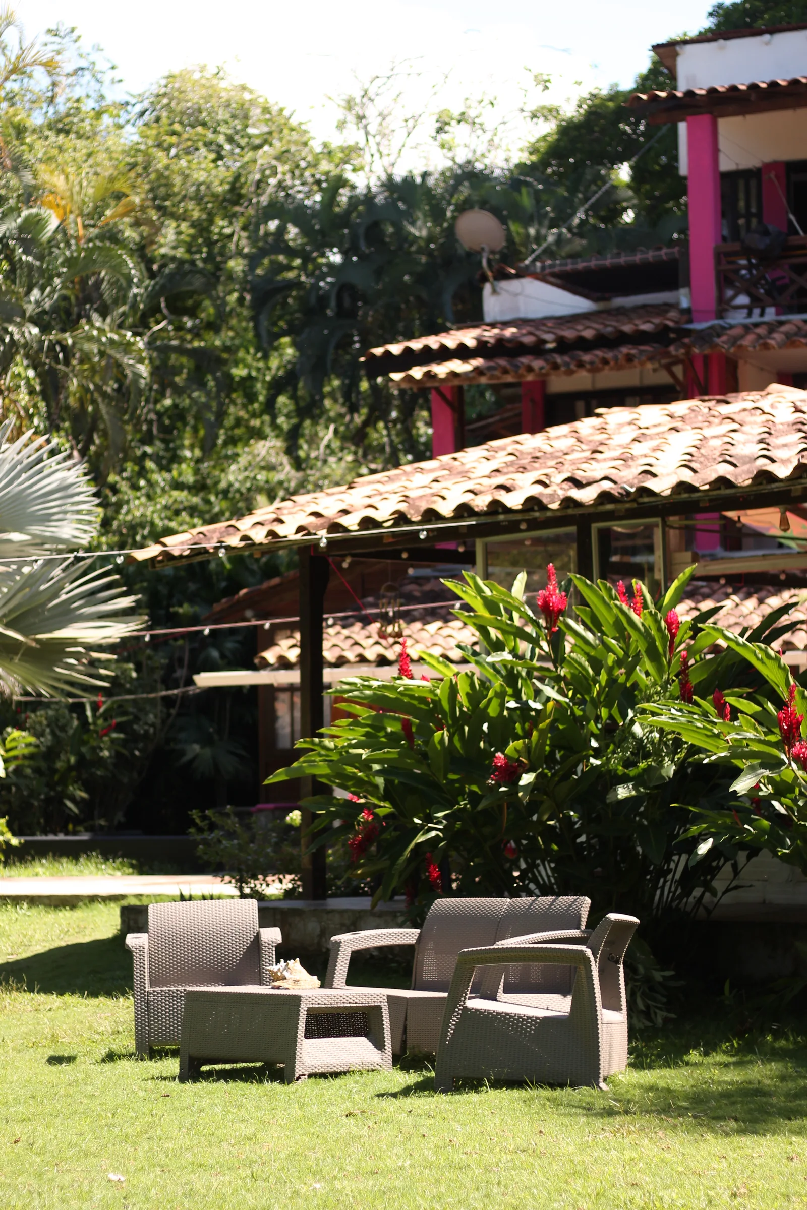 Garden, seating and spaces at Melo Capurganá
